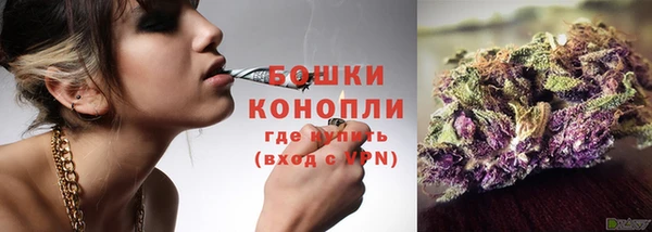 индика Каменка