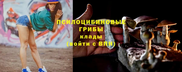 индика Каменка