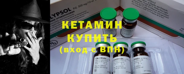 индика Каменка