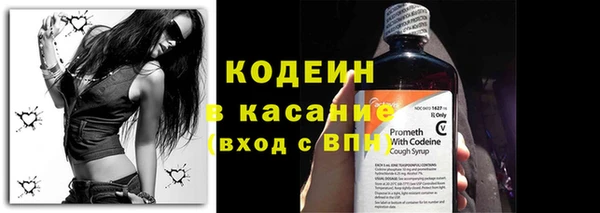 индика Каменка