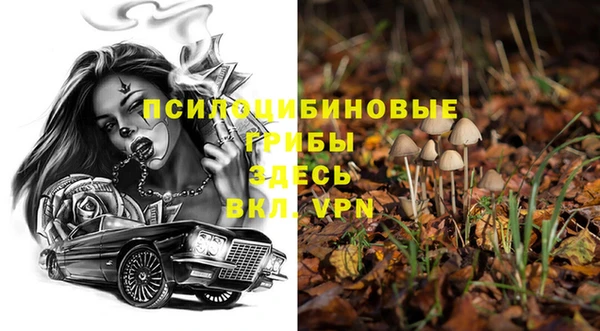 индика Каменка
