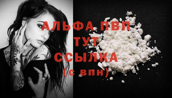 индика Каменка