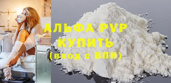 МДПВ Инсар