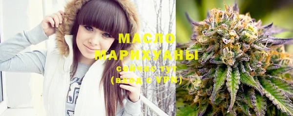 индика Каменка