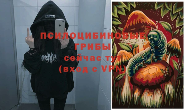 МДПВ Иннополис