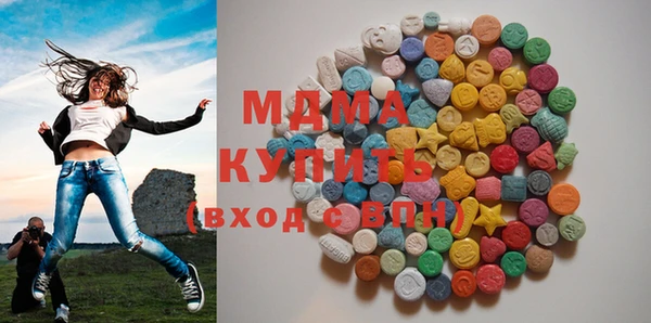 индика Каменка