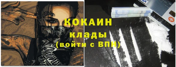 соль ск Каменногорск