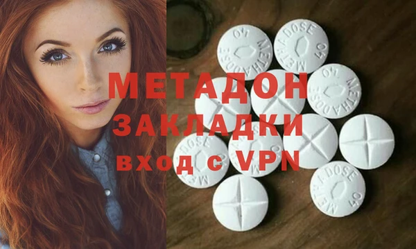 индика Каменка