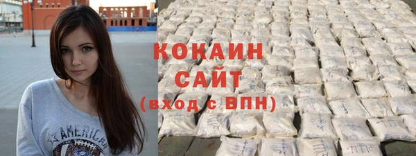 индика Каменка