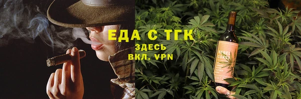 индика Каменка